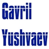 gavrilyushvaev5 Avatar